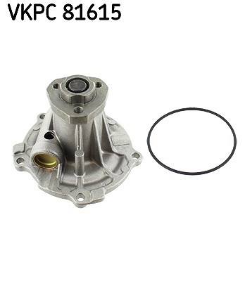 Skf Wasserpumpe [Hersteller-Nr. VKPC81615] für Audi, VW, Seat, Skoda