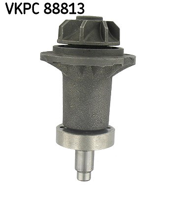 Skf Wasserpumpe [Hersteller-Nr. VKPC88813] für Mercedes-Benz