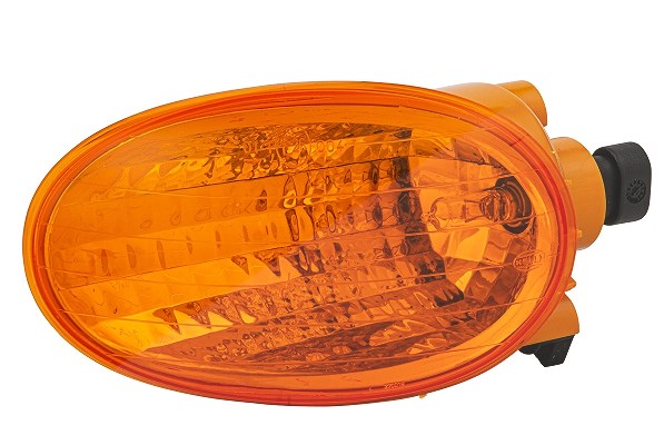 Hella Blinkleuchte [Hersteller-Nr. 2BA270016-031] für Fiat