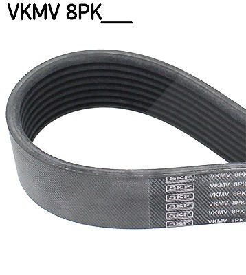 Skf Keilrippenriemen [Hersteller-Nr. VKMV8PK1786] für BMW