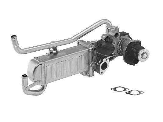 Borgwarner AGR-Modul [Hersteller-Nr. 710863D] für Seat, Skoda, VW