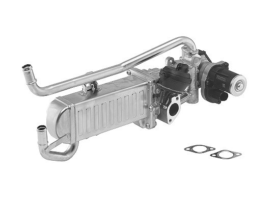 Borgwarner AGR-Modul [Hersteller-Nr. 710862D] für Seat, Skoda, Audi, VW