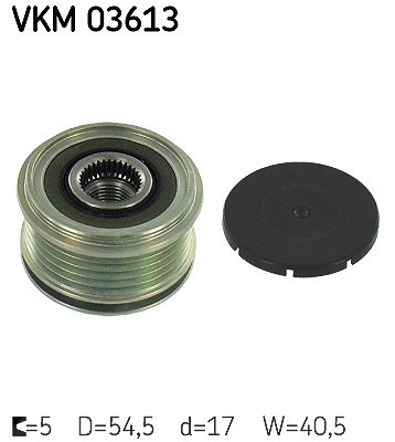 Skf Generatorfreilauf [Hersteller-Nr. VKM03613] für Renault, Nissan