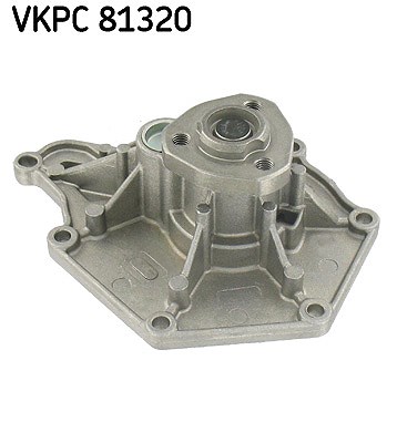 Skf Wasserpumpe [Hersteller-Nr. VKPC81320] für Audi