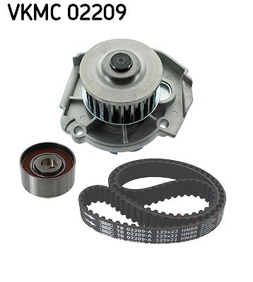 Skf Wasserpumpe + Zahnriemensatz [Hersteller-Nr. VKMC02209] für Fiat