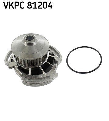 Skf Wasserpumpe [Hersteller-Nr. VKPC81204] für Seat, VW