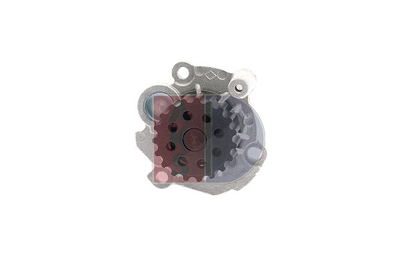 Aks Dasis Wasserpumpe [Hersteller-Nr. 570059N] für Skoda, Mitsubishi, VW, Seat, Ford, Audi