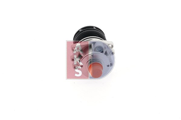 Aks Dasis Wasserpumpe [Hersteller-Nr. 570077N] für BMW, Wiesmann