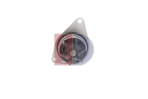 Aks Dasis Wasserpumpe [Hersteller-Nr. 570112N] für Citroën, Peugeot, Rover