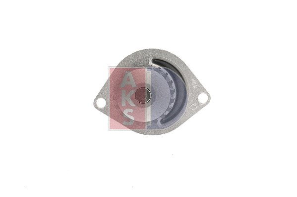 Aks Dasis Wasserpumpe [Hersteller-Nr. 570113N] für Peugeot, Rover, Citroën, Nissan