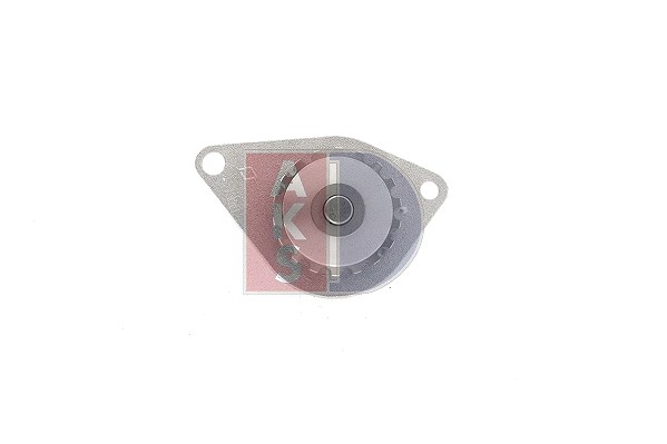 Aks Dasis Wasserpumpe [Hersteller-Nr. 570116N] für Peugeot, Citroën, Fiat