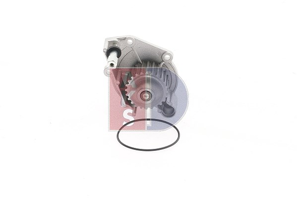 Aks Dasis Wasserpumpe [Hersteller-Nr. 570425N] für Mg, Land Rover, Lotus, Rover