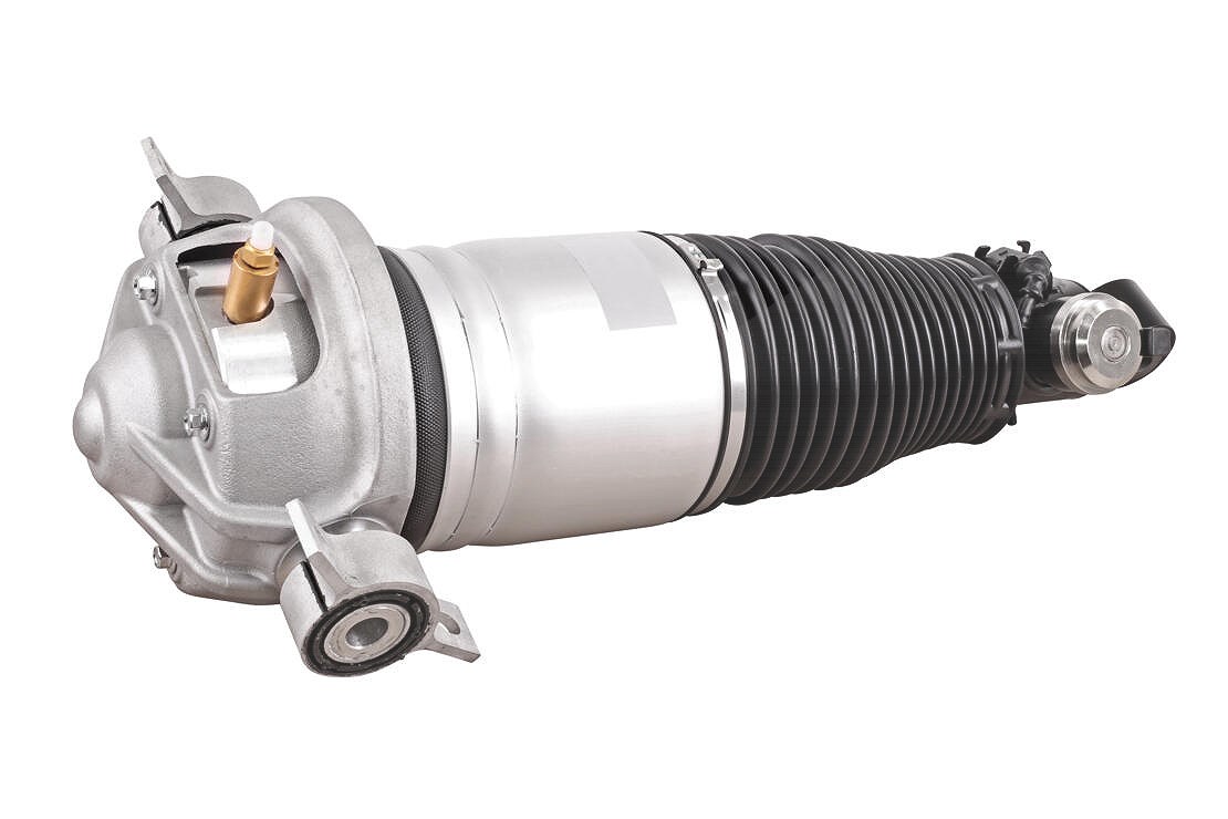 Vemo Luftfederbein [Hersteller-Nr. V10-50-0004] für Audi, VW, Porsche