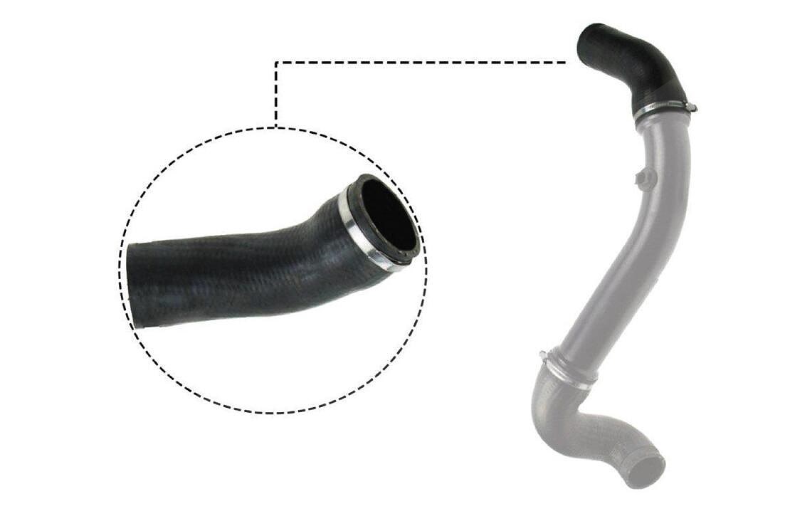 Vaico Ladeluftschlauch [Hersteller-Nr. V30-2717] für Mercedes-Benz