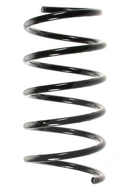 Spidan Fahrwerksfeder Vorderachse [Hersteller-Nr. 49285] für Renault