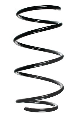 Spidan Fahrwerksfeder Vorderachse [Hersteller-Nr. 55079] für BMW