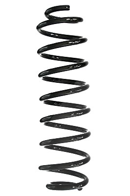 Spidan Fahrwerksfeder [Hersteller-Nr. 88231] für Ford