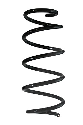 Spidan Fahrwerksfeder [Hersteller-Nr. 88227] für Ford