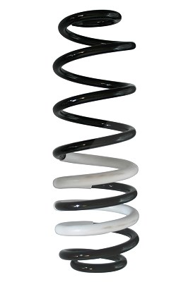 Spidan Fahrwerksfeder [Hersteller-Nr. 88233] für Ford