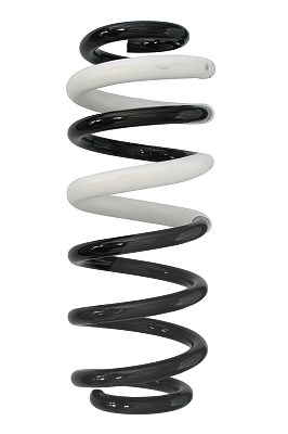 Spidan Fahrwerksfeder [Hersteller-Nr. 88235] für Ford