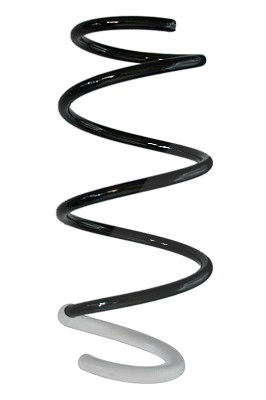 Spidan Fahrwerksfeder [Hersteller-Nr. 88236] für Suzuki