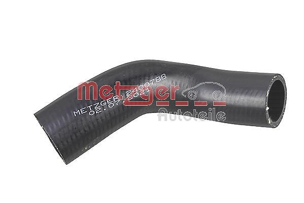 Metzger Autoteile Ladeluftschlauch [Hersteller-Nr. 2400788] für Fiat