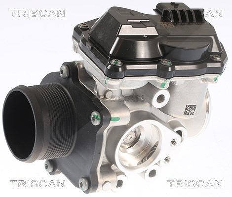 Triscan AGR-Ventil [Hersteller-Nr. 881316002] für Ford, Ford Usa