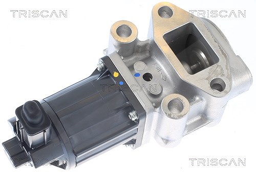 Triscan AGR-Ventil [Hersteller-Nr. 881342001] für Mitsubishi