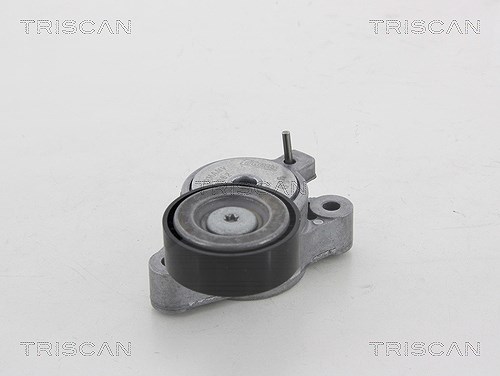 Triscan Riemenspanner, Keilrippenriemen [Hersteller-Nr. 8641293044] für Seat, Audi, Skoda, VW