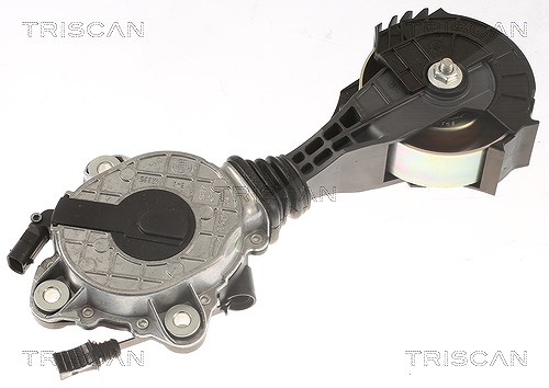 Triscan Riemenspanner, Keilrippenriemen [Hersteller-Nr. 8641283009] für Ds (capsa), Mini, Vauxhall, Opel, BMW, Peugeot, Peugeot (df-psa), Ds, Citroën