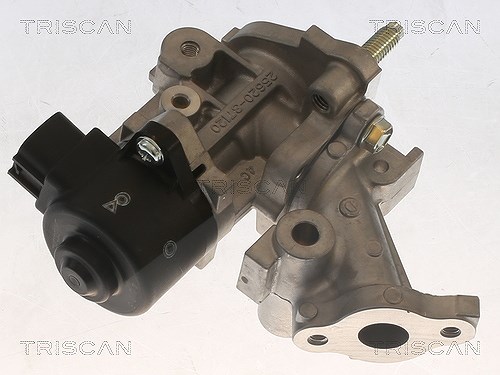 Triscan AGR-Ventil [Hersteller-Nr. 881313067] für Toyota, Lexus