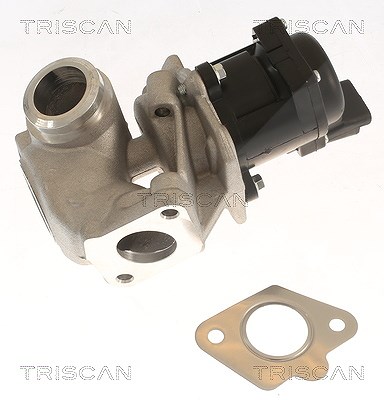 Triscan AGR-Ventil [Hersteller-Nr. 881310018] für Mazda, Ford, Volvo, Mini