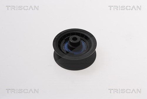 Triscan Umlenk-/Führungsrolle, Keilrippenriemen [Hersteller-Nr. 8641162022] für Ford