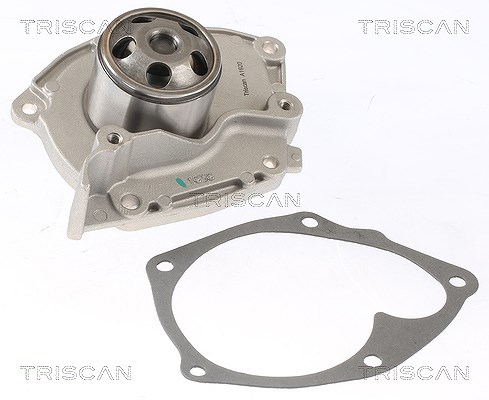 Triscan Wasserpumpe [Hersteller-Nr. 860014022] für Mitsubishi, Renault, Opel, Vauxhall, Nissan, Volvo