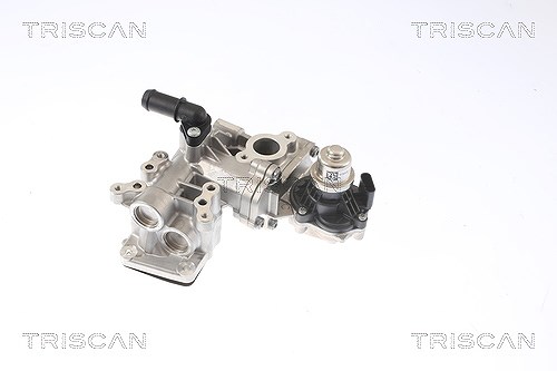 Triscan AGR-Ventil [Hersteller-Nr. 881316005] für Ford, Ford Usa