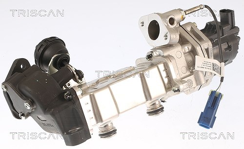 Triscan AGR-Ventil [Hersteller-Nr. 881315001] für Jeep, Chrysler