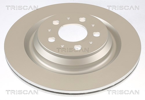 Triscan 1x Bremsscheibe [Hersteller-Nr. 812081004C] für Tesla