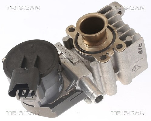 Triscan AGR-Ventil [Hersteller-Nr. 881311011] für BMW