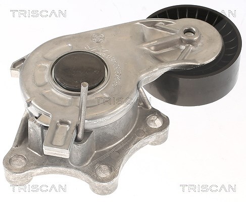 Triscan Spannrolle, Keilrippenriemen [Hersteller-Nr. 8641103056] für Citroën, Ds, Peugeot