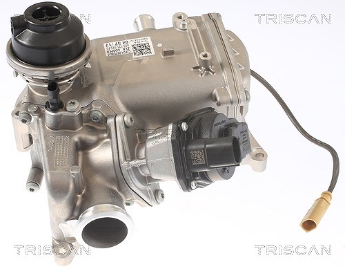 Triscan AGR-Ventil [Hersteller-Nr. 881329008] für VW, Audi