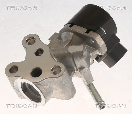 Triscan AGR-Ventil [Hersteller-Nr. 881313069] für Citroën, Toyota, Peugeot