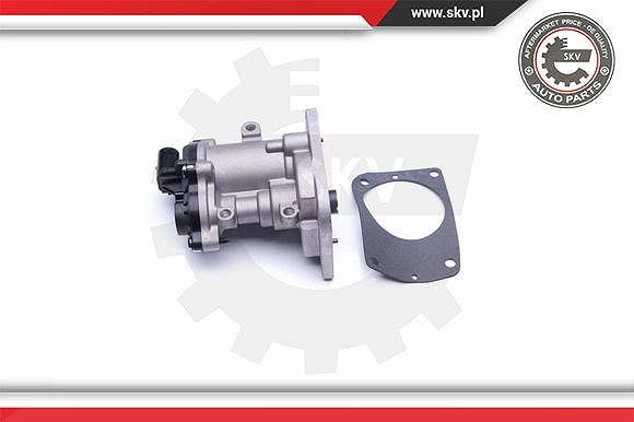 Esen Skv AGR-Ventil [Hersteller-Nr. 14SKV160] für Ford