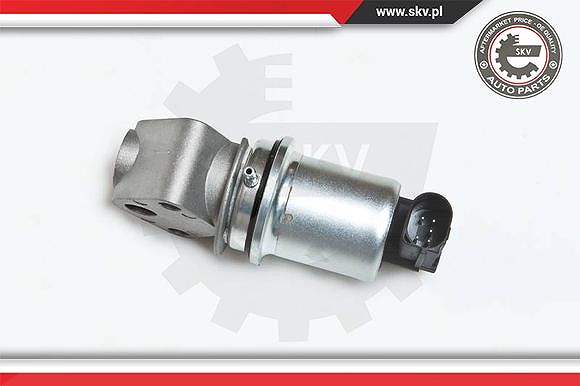 Esen Skv AGR-Ventil [Hersteller-Nr. 14SKV007] für Audi, Seat, Skoda, VW