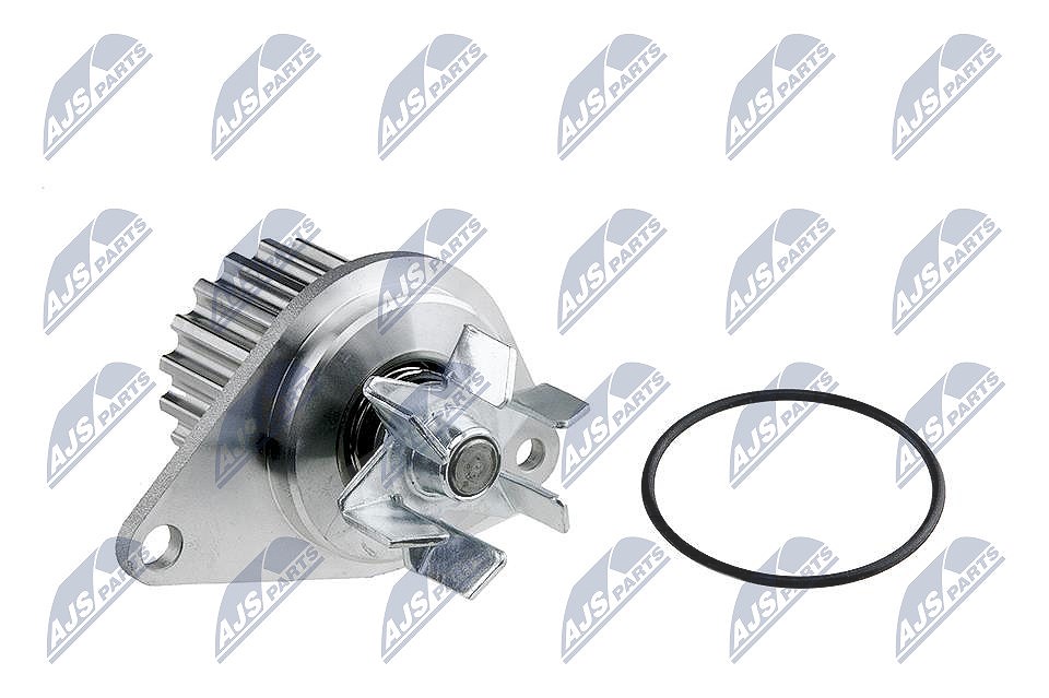 Nty Wasserpumpe [Hersteller-Nr. CPW-CT-031] für Peugeot, Citroën