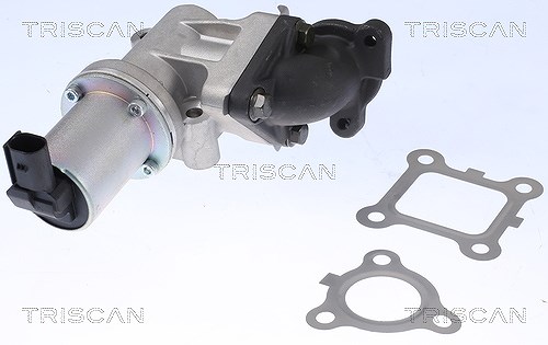 Triscan AGR-Ventil [Hersteller-Nr. 881343200]