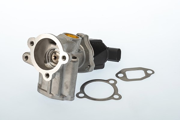 Borgwarner AGR-Ventil [Hersteller-Nr. 710773D] für Alfa Romeo, Vauxhall, Opel, Fiat, Lancia