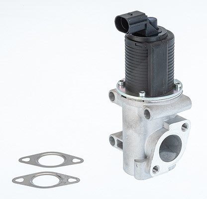Borgwarner AGR-Ventil [Hersteller-Nr. 710774D] für Fiat, Alfa Romeo, Lancia