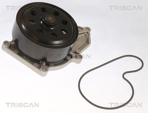 Triscan Wasserpumpe [Hersteller-Nr. 860040023] für Honda