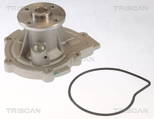 Triscan Wasserpumpe [Hersteller-Nr. 860042022] für Mitsubishi