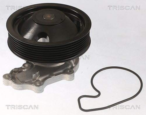 Triscan Wasserpumpe [Hersteller-Nr. 860040020] für Honda